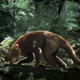 Artist’s reconstruction of Loxolophus.